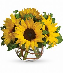 Sunny Sunflowers from Visser's Florist and Greenhouses in Anaheim, CA